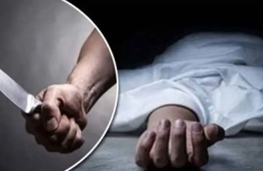 تفاصيل جريمة القتل في نجع عبدالرسول