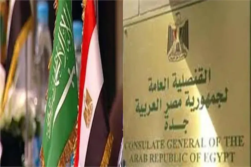قنصلية مصر بجدية تبرز تفاصيل النسخة الأولى من نصائح التعلم الذاتي لأبناء مصر في الخارج