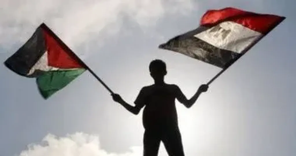 بيان مصري عربي إسلامي يدين رفض إسرائيل لخطة ترامب في قطاع غزة