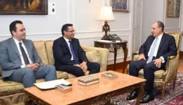 وزير الخارجية يلتقى نقيب الصحفيين ورئيس لجنة الشئون العربية غدًا