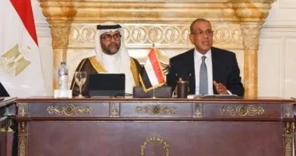 وزير الخارجية يعقد جلسة موسعة مع ممثلى القطاع الخاص