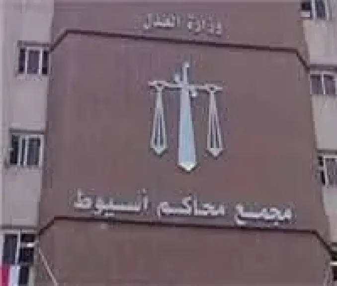 السجن المؤبد لصاحب شركة مقاولات وشقيقه في قضية مخدرات بأسيوط