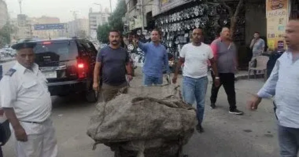 حملة مكبرة تحاصر الفريزة بحى الهرم.. ضبط المخالفين ومصادرة عربات الكارو والتروسيكلات