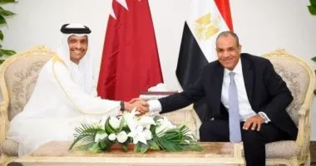 وزير الخارجية يبحث مع رئيس وزراء قطر تطورات ”علم الروم” والعلاقات الثنائية