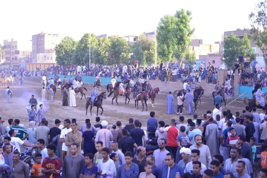 مرماح المولد النبوي في منشأة العماري بالأقصر.. فرسان وخيول تحيي تراثًا صعيديًا متوارثًا | صور