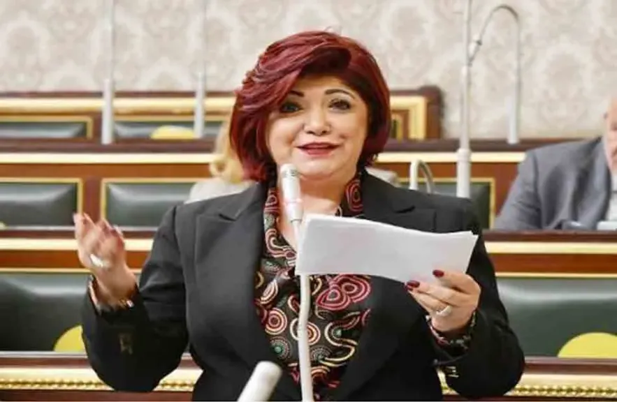 عضو مجلس نواب: تشغيل «الجزيرة الكويتية» رحلات مباشرة يعزز مكانة أسوان كمقصد سياحي إقليمي وخطوة نحو زيادة السياحة
