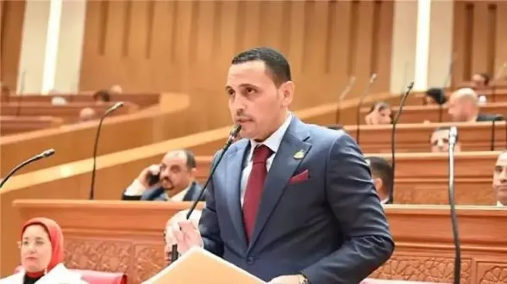 بعدما سجلت تحويلاتهم رقمًا قياسيًا تاريخيًا إسلام التلواني يحيي المصريين بالخارج: 47.3 مليار دولار شهادة وطنية.. وأنتم سند حقيقي للوطن