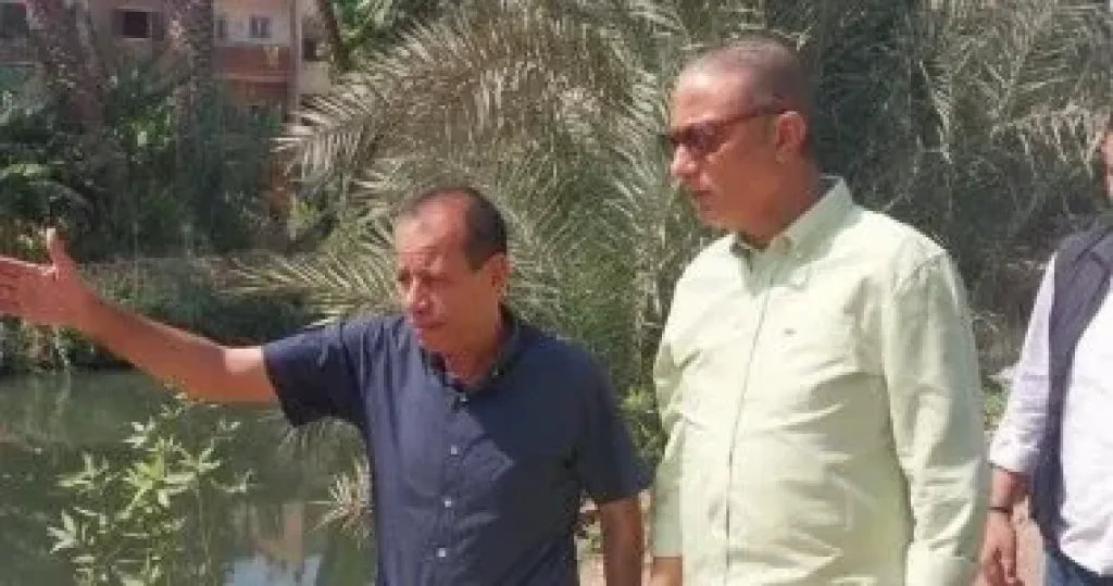 محافظ الجيزة: زراعة 3350 شجرة بأبو النمرس ضمن مبادرة ازرع شجرة