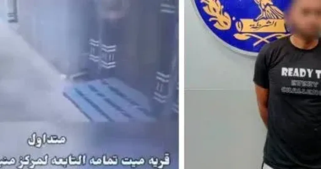 ضبط المتهم بحمل طفل وإلقائه أرضا بالدقهلية