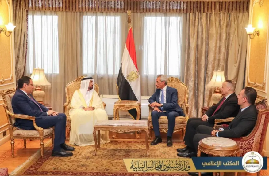 وزير شئون المجالس النيابية يبحث مع رئيس البرلمان العربي تعزيز التعاون