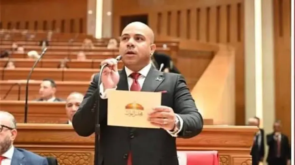 علي خليفة: واقعة الـ321 مليون جنيه تكشف ثغرات خطيرة.. ولا يجوز أن يتحول المواطن إلى مدين دون علمه