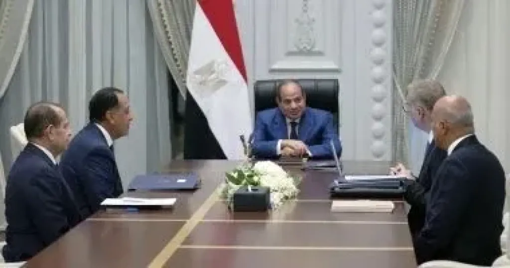 الرئيس السيسى يوجه بتحقيق نقلة نوعية لتعظيم القيمة المضافة من الثروات المعدنية