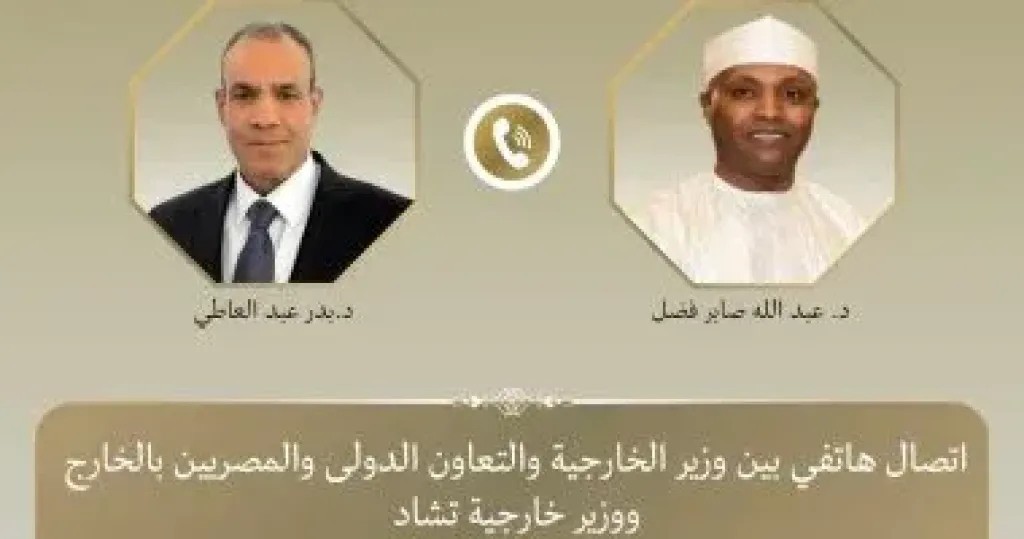 وزير الخارجية يبحث مع نظيره التشادى تنسيق المواقف إزاء قضايا الاهتمام المشترك