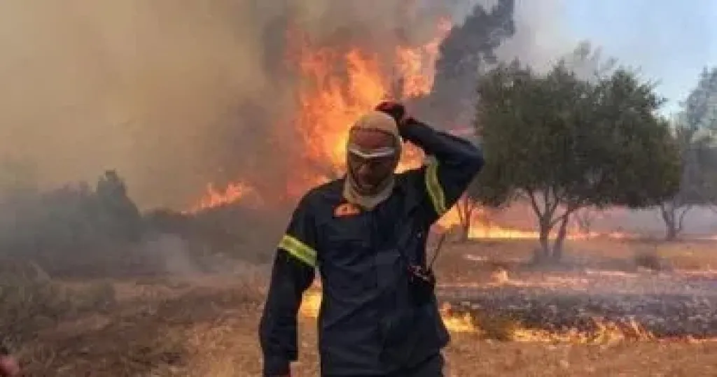 الجزائر: مصرع 12 شخصاً فى حصيلة مؤقتة لحرائق الغابات شرقى البلاد