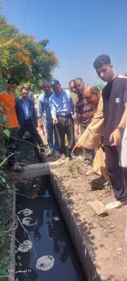 يوم حقلى بالابرهيمية شرقية لمحصول الارز