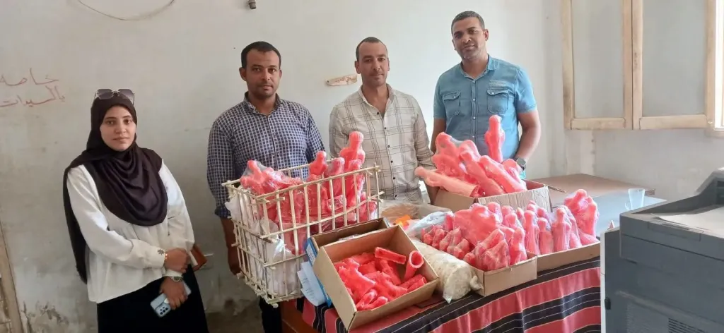 محافظ أسيوط: ضبط حلوى مجهولة المصدر وتحرير 143 محضرًا خلال حملات تموينية مكثفة