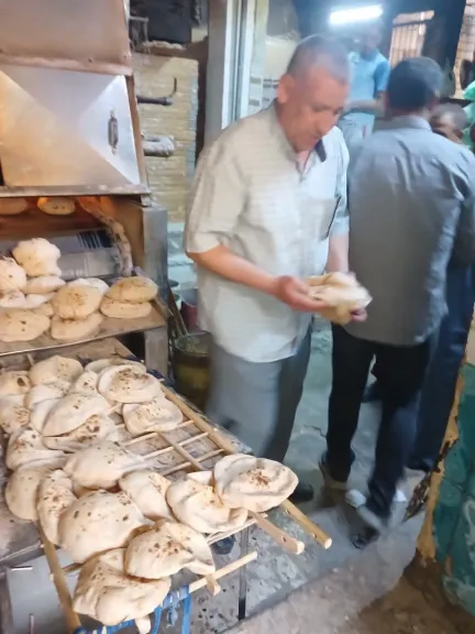 محافظ أسيوط: 130 محضرًا للمخابز بالمراكز والأحياء .. حملات مكثفة لضبط وزن وجودة