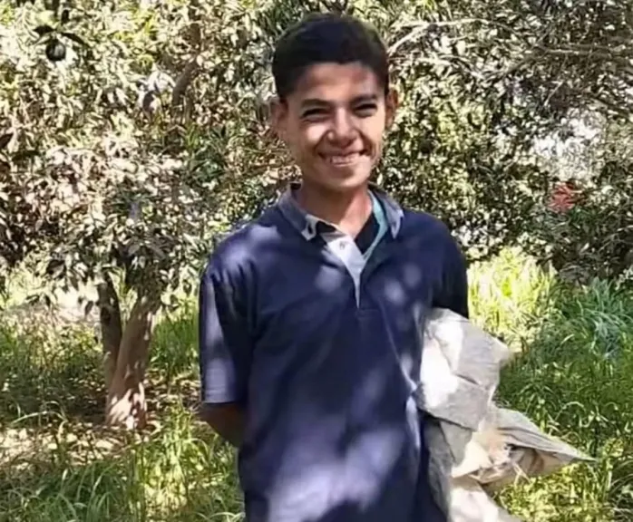 طفل من أشمنت يواجه ذئبًا وينقذ أغنامه في بني سويف