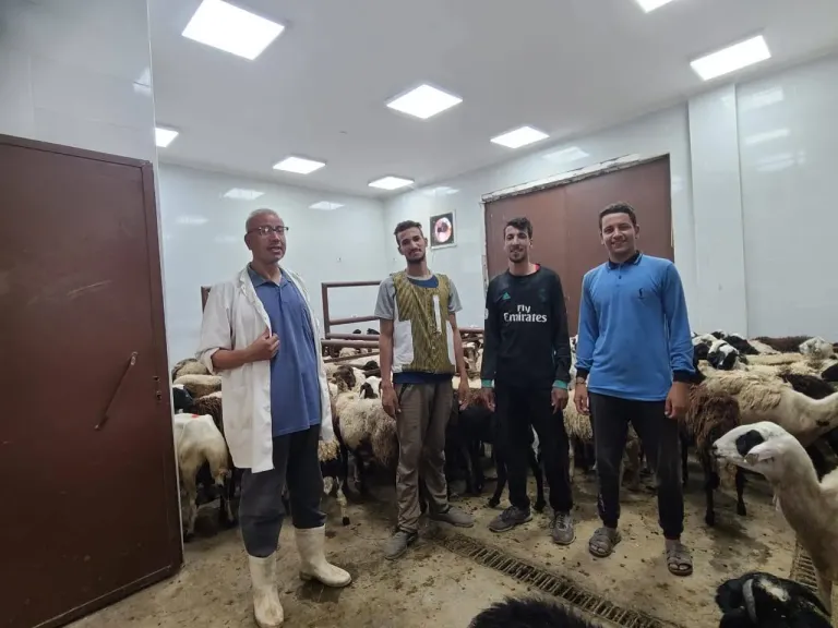 محافظ أسيوط: حملات تحصين مكثفة وندوات توعوية للوقاية من الأمراض المشتركة