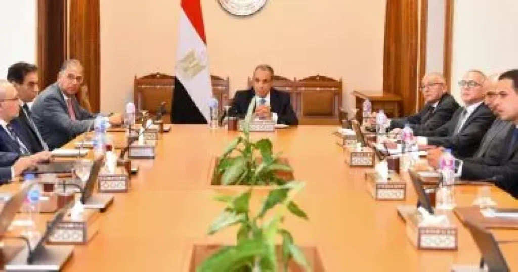 وزير الخارجية يتابع مستجدات إنشاء منصة إلكترونية لخدمة للمصريين بالخارج