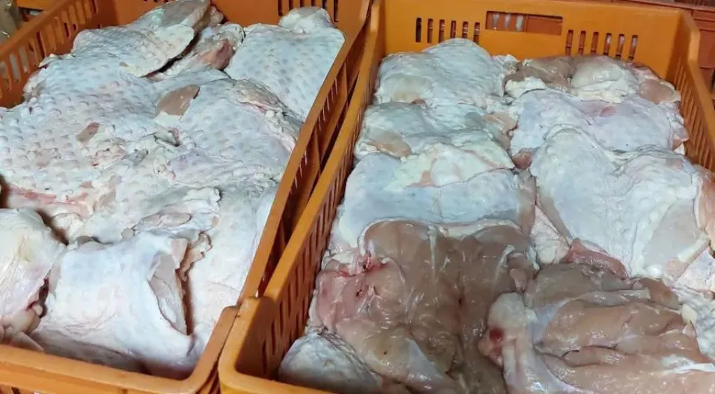 ”الزراعة” تضبط 213 طنًا و281 كجم من اللحوم ومنتجاتها المخالفة خلال أغسطس