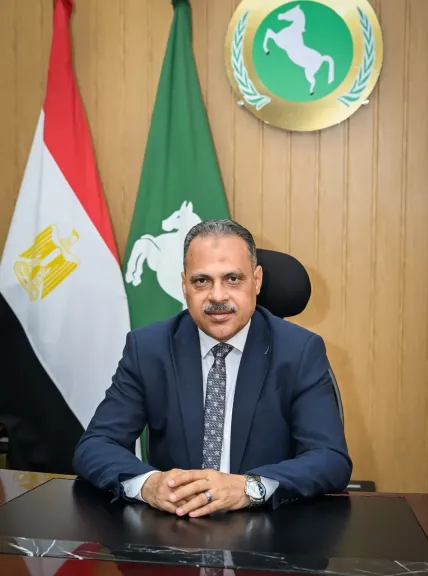 الشرقية تستعد لعيدها القومى بتنفيذ ٥٤٠٩ مشروعا بتكلفة ٧٠ مليار جنيه
