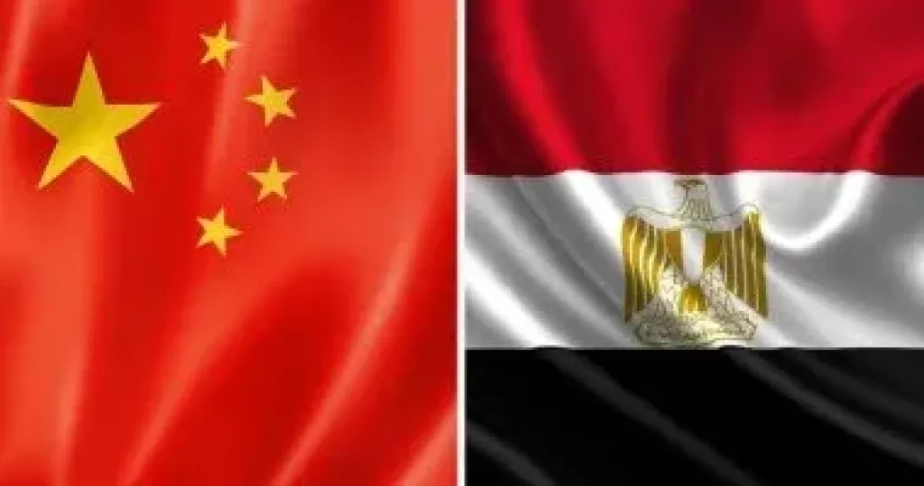 تعاون مصرى صينى لتطوير تقنيات الكشف عن ملوثات الغذاء