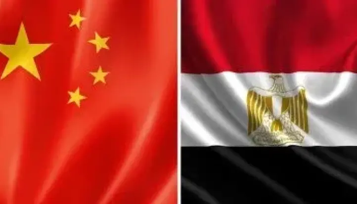 تعاون مصرى صينى لتطوير تقنيات الكشف عن ملوثات الغذاء
