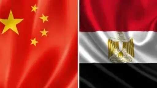 تعاون مصرى صينى لتطوير تقنيات الكشف عن ملوثات الغذاء