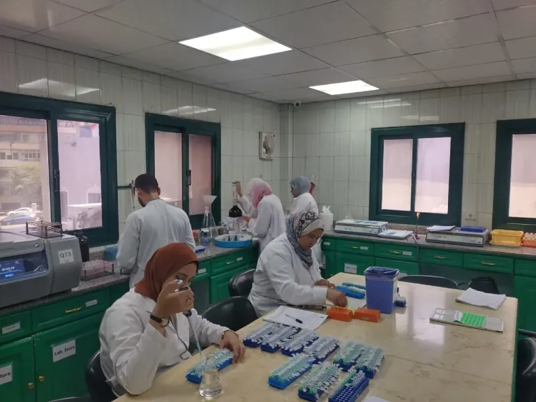 فحص أكثر من مليون طن من بطاطس المائدة المعدة للتصدير و575.6 ألف طن من التقاوي للموسم الجديد