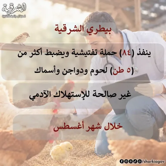 بيطرى الشرقية ينفذ ٨٤ حملة تفتيشية ويضبط أكثر من  ٥ أطنان لحوم