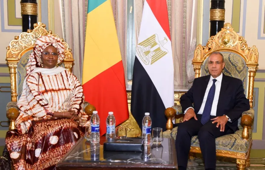 وزير الخارجية يلتقي وزيرة ريادة الأعمال والتوظيف والتدريب بمالي ويبحثان سبل تعزيز التعاون الثنائي