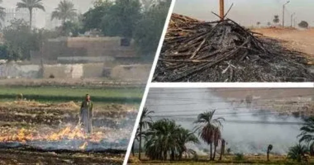 السيطرة على حريق ببوص بالقرب من محطة منوف