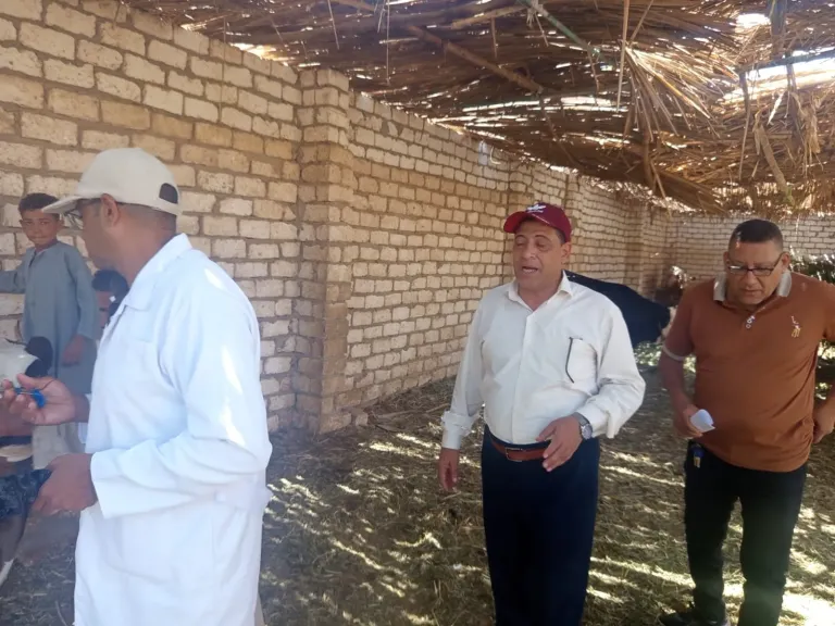 «بيطري الأقصر» يحصّن أكثر من 21 ألف حيوان ضد الحمى القلاعية والوادي المتصدع| صور