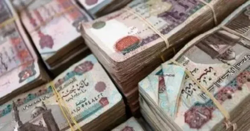الرجال يستحوذون على 67% من المحافظ الإلكترونية في مصر