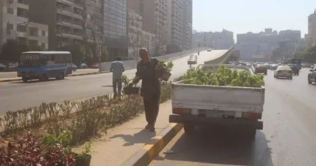 تشجير شارع أحمد عرابى بالجيزة ضمن مبادرة اتحضر للأخضر