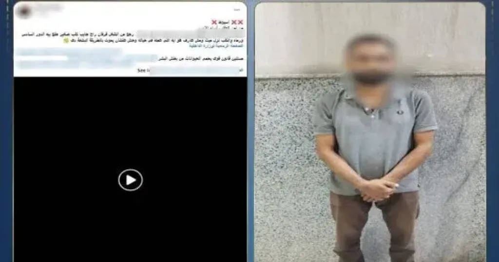 ضبط شخص ألقى كلبا من الطابق السادس في أسيوط