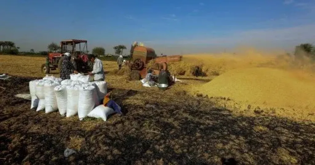 تراجع الحرارة يغير خريطة الرى.. مركز المناخ يحذر من زيادة الرطوبة