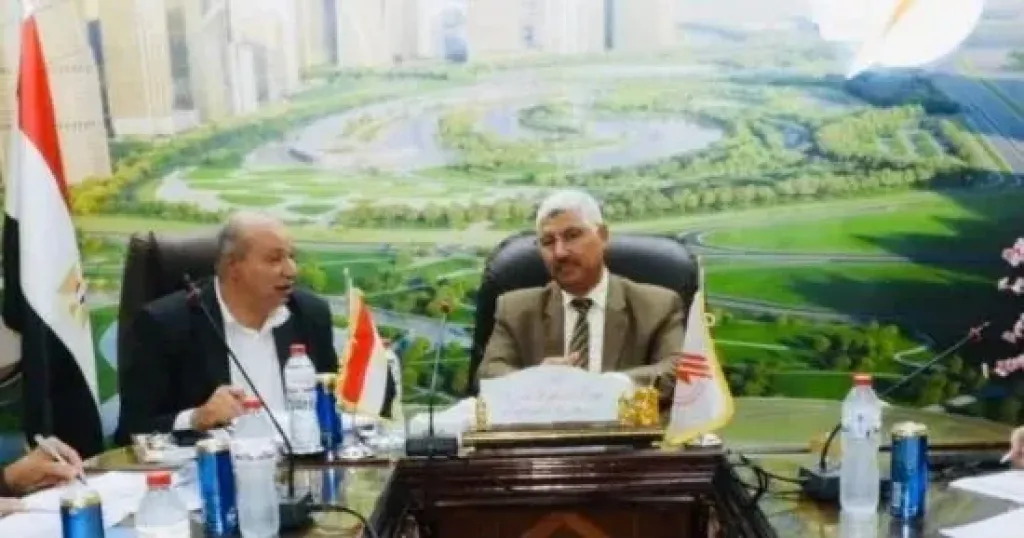 كهرباء”جنوب الدلتا” و”المصرية للنقل” تضعان خطة استباقية لتأمين صيف 2027