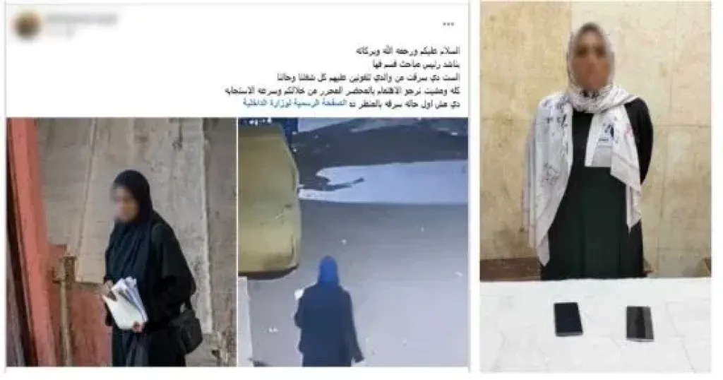 مغافلة داخل المحل.. الأمن يضبط نشالة سرقت هاتفين في قها بالقليوبية