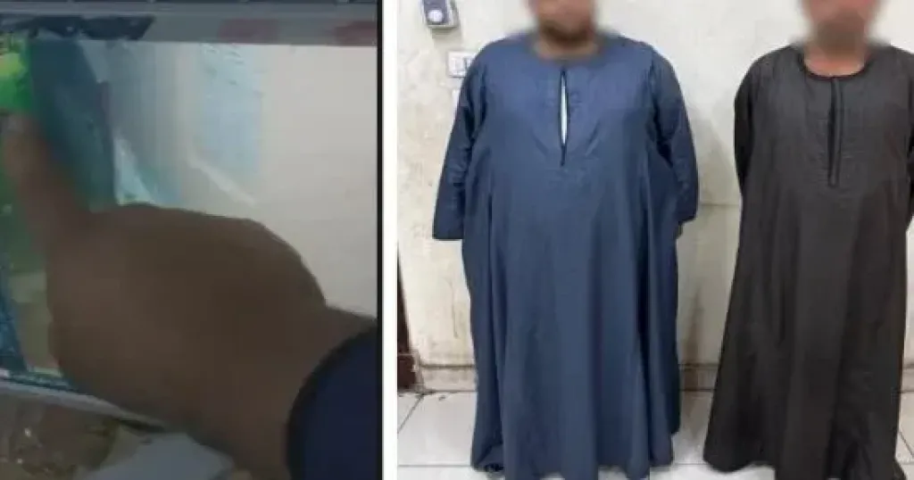 بسبب كاميرات المراقبة.. الداخلية تكشف ملابسات نزاع بين جارين بالأقصر