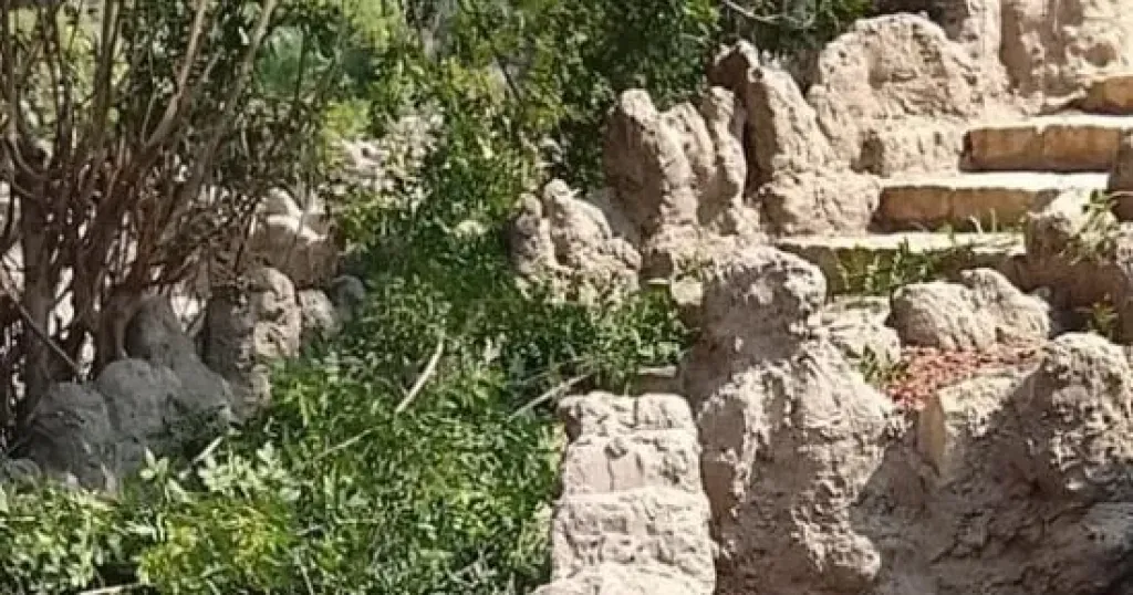 وزارة الزراعة: جميع الأشجار والنباتات بحديقة الأسماك بحالة جيدة