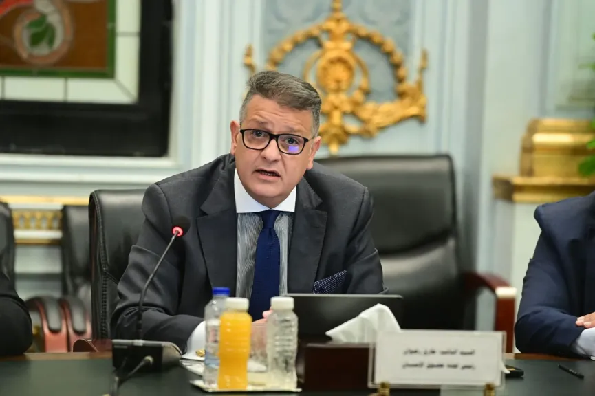 رضوان: مد مهلة توفيق أوضاع الأجانب يعكس حرص الدولة على التوازن بين سيادة القانون والاعتبارات الإنسانية