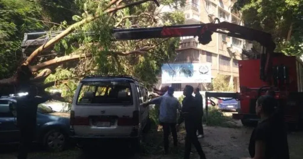 سقوط شجرة على سيارة بالدقى والحماية المدنية تتدخل