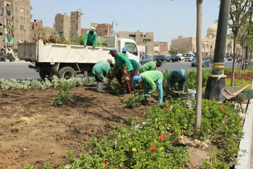 محافظ القاهرة: تخضير العاصمة بخطة تشاركية وزراعة 60 ألف شجرة