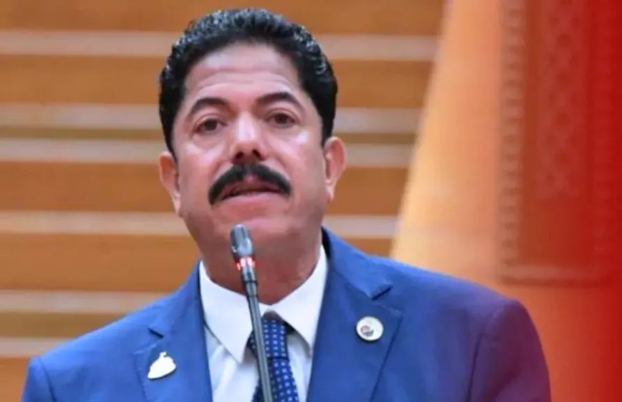 النائب علاء الحديوي: توجيهات الرئيس السيسي في قطاع الاتصالات تضع مصر على طريق الريادة الرقمية