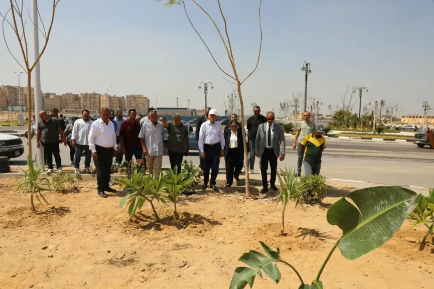 محافظ القاهرة وجولة تفقدية للاطلاع على أعمال التشجير الجارية بمحورى حسنين هيكل والحصارات