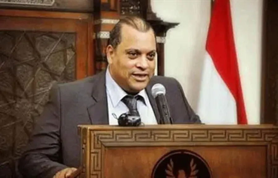 الفضالي: كلمة مصر أمام الأمم المتحدة رسالة للعالم بدورها في إحلال السلام بالمنطقة
