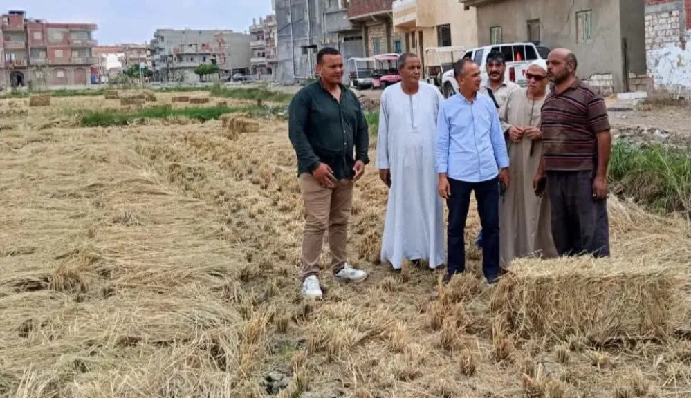 رئيس مدينة كفر الدوار يتفقد حقول الأرز ويوجه: لا للحرق