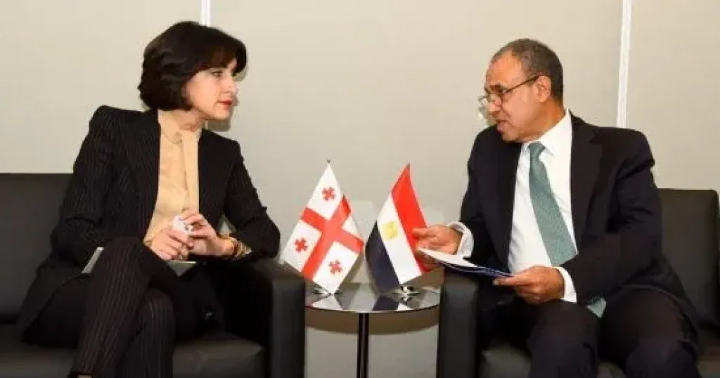 وزير الخارجية يلتقي نائبة رئيس الوزراء وزيرة خارجية جورجيا في نيويورك